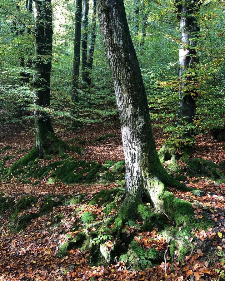 Gartenblick Leichlingen Eksteriør bilde