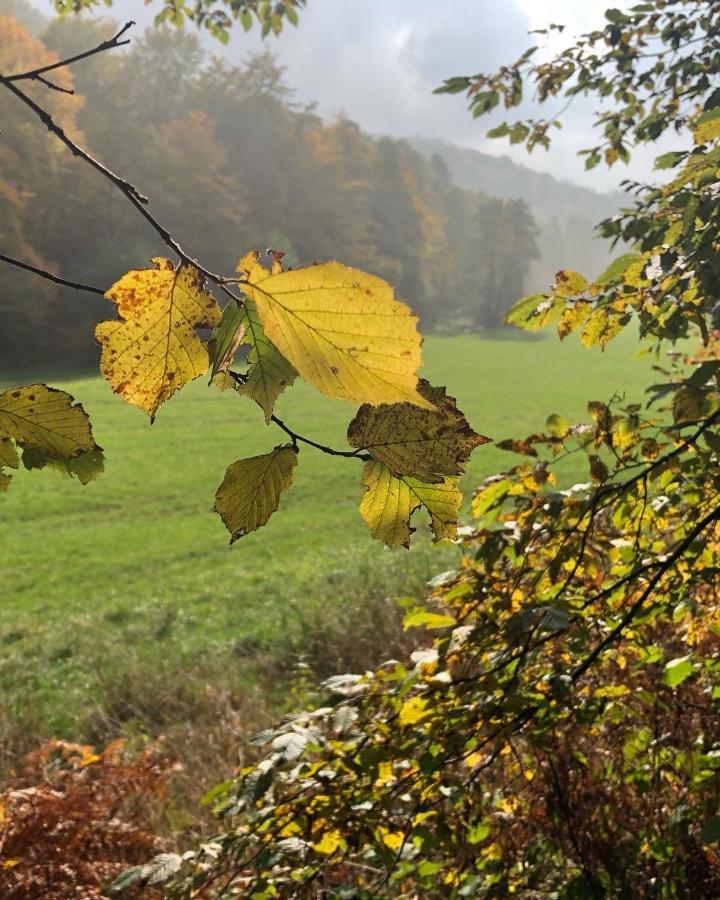 Gartenblick Leichlingen Eksteriør bilde