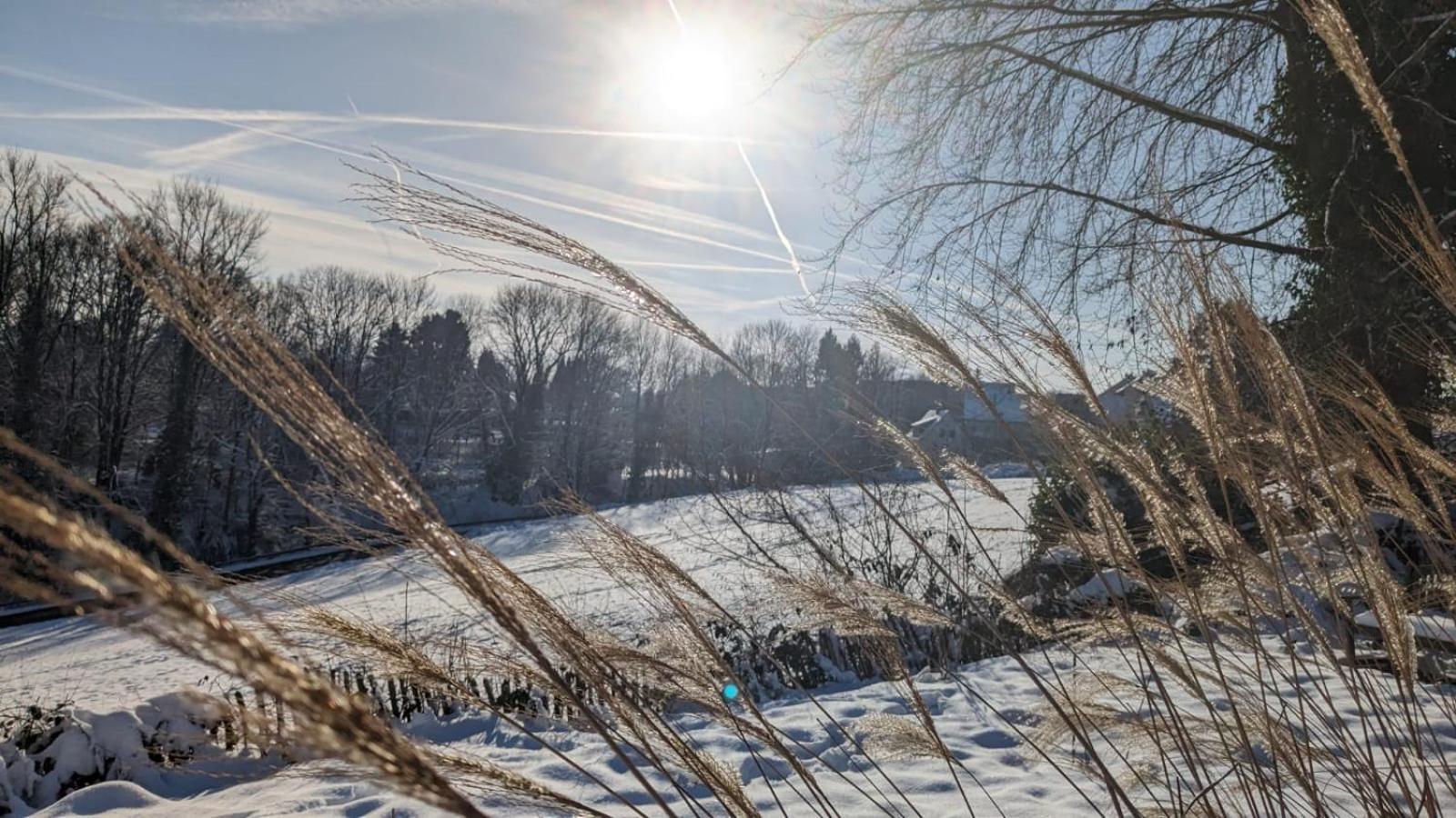 Gartenblick Leichlingen Eksteriør bilde