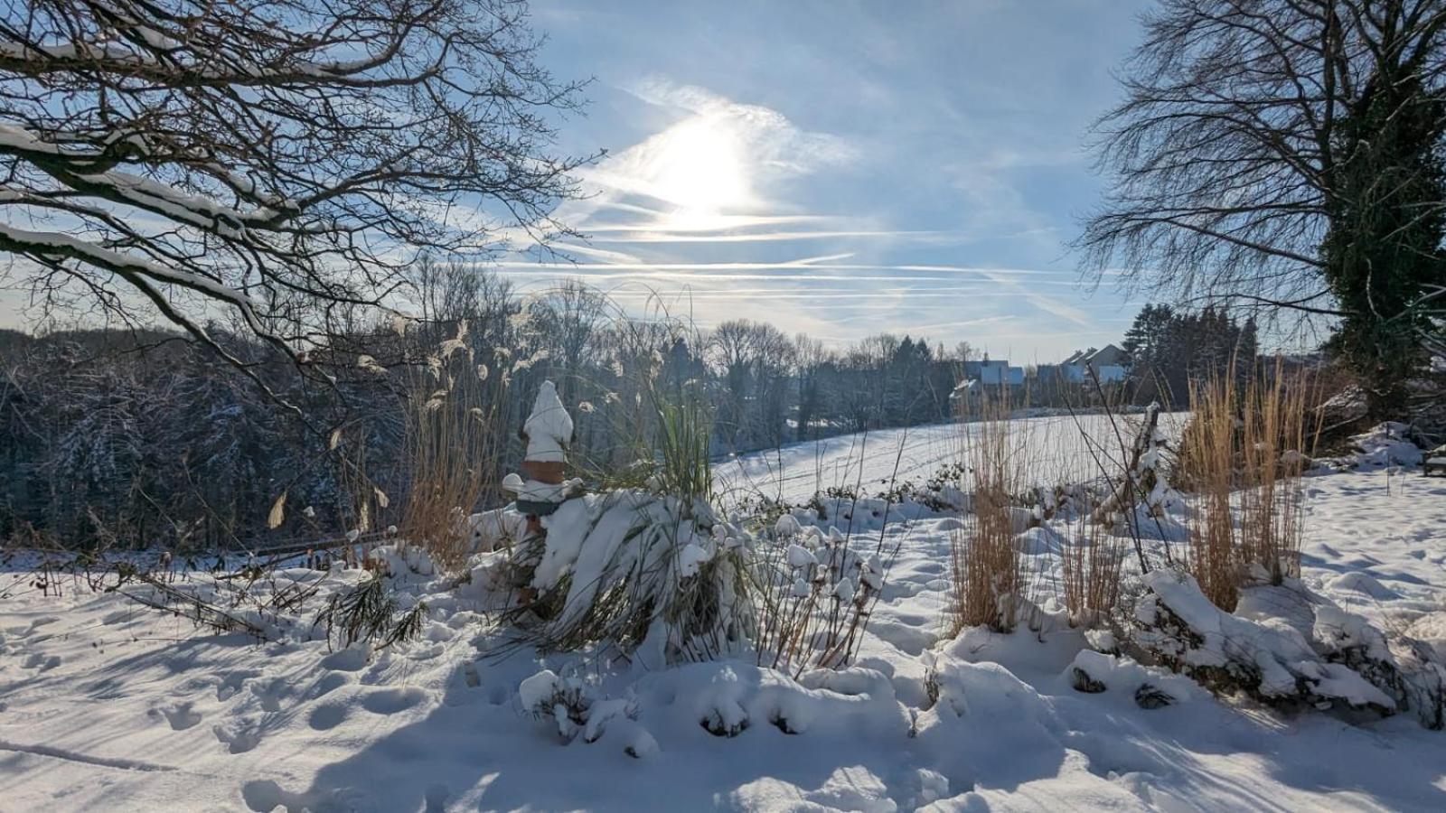 Gartenblick Leichlingen Eksteriør bilde