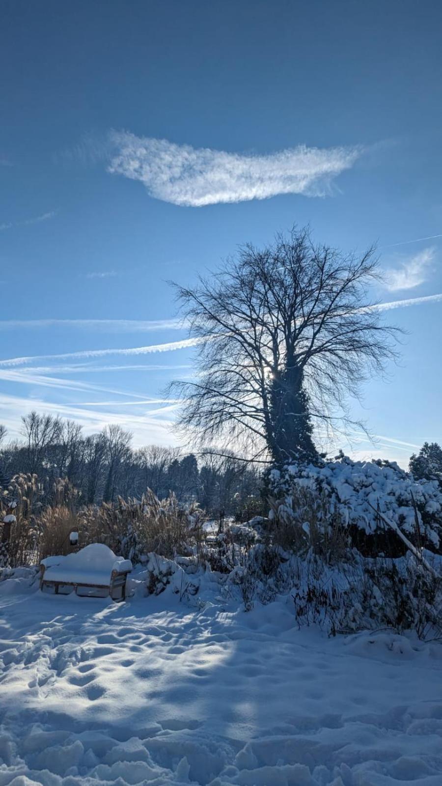 Gartenblick Leichlingen Eksteriør bilde