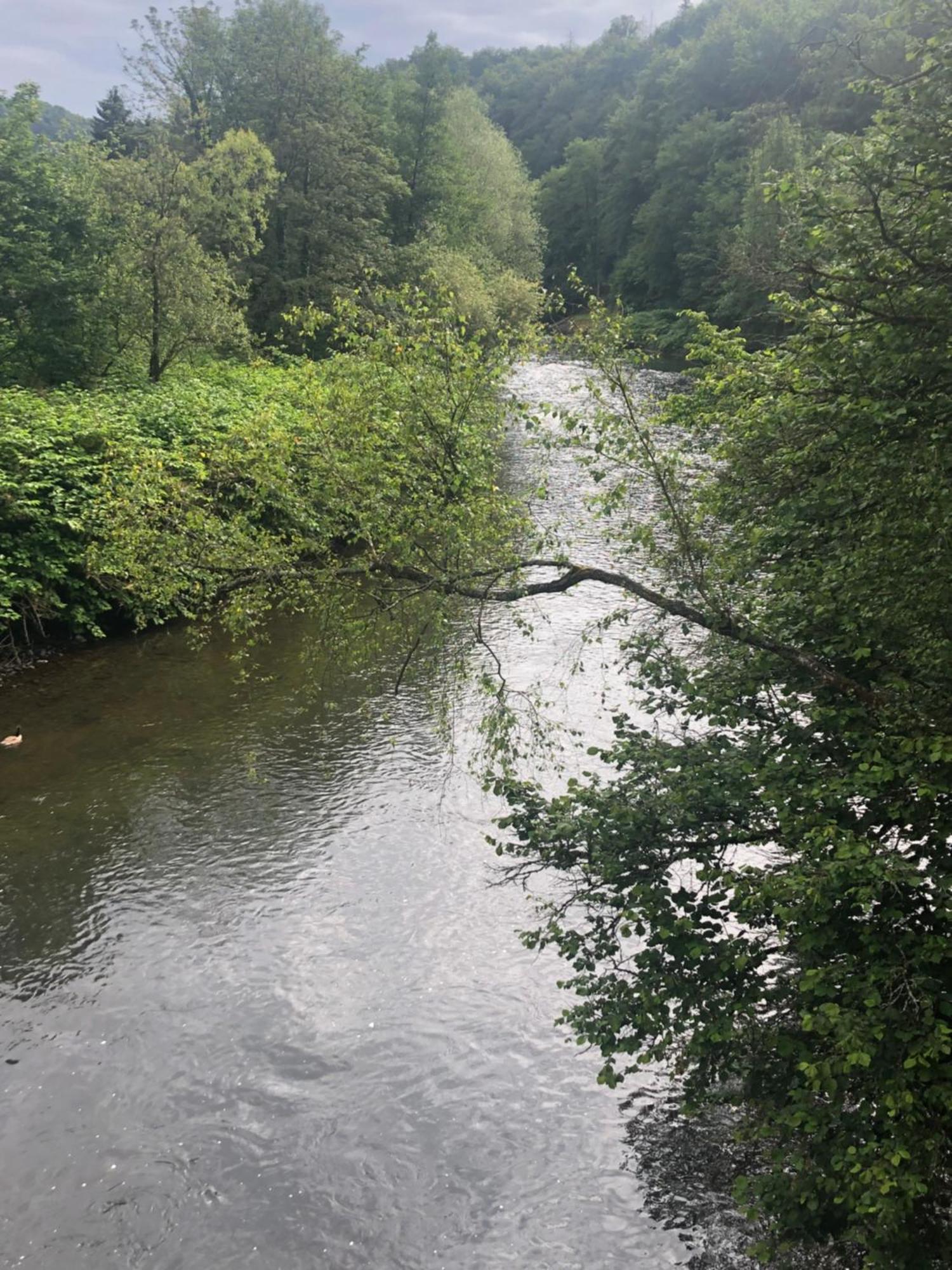 Gartenblick Leichlingen Eksteriør bilde